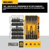 DEWALT Screwdriver Bit Set with Tough Case, 45-Piece (DW2166), Grey/Silver