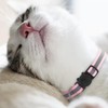 PLABBDPL Pack of 12 Cat Collar with Safety Clasp, Reflective,