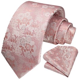 HISDERN Men's Wedding Tie Pocket Square Party Business Paisley Tie & Pocket Square Set