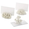 Seven Seas Coral Place Card/Photo Holder (Set of 6)