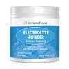 ImmunoPower Daily Electrolyte Powder Drink Mix – Fruit Punch, 60