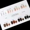 Piote Fiote Concealer Gel 8 types individually Nude Syrup Gel