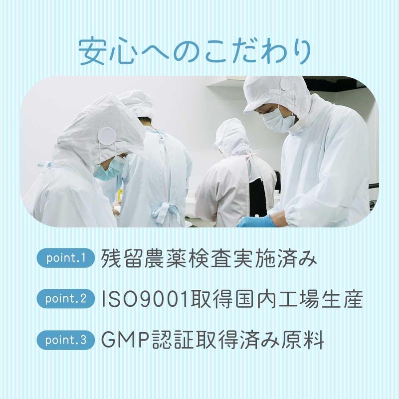 【含有量99%以上】ogaland GABA サプリ パウダー 30g 粉末 アミノ酸 サプリメント ギャバ 計量スプーン付き