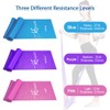 Therapy Flat Resistance Bands Set, Latex Free Flat Elastic Exercise
