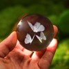 HDCRYSTALGIFTS 3D Butterfly Crystal Ball Paperweight 2.36in(60mm) Glass Decorative Ball