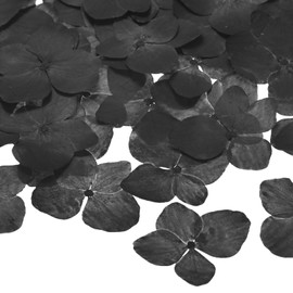 M METERXITY 12-Pack Dried Pressed Flowers for Resin, Real Natural Bulk Dry Floral for Crafts/DIY Jewelry/Soap Making/Scrapbooking/Candle/Epoxy Resin Supplies [Black]