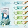 Inulina de Agave Organica 1 Kg | Fibra Prebiotica en