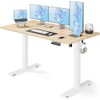 Marsail Electric Standing Desk, Adjustable Height Stand up Desk, 55