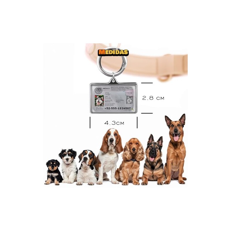 Tarjeta de Identificación Personalizada - Placa Metálica Duradera para Perros