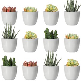 Youngever 24 Pack 5CM Mini Plastic Planters, Indoor Flower Plant Pots, Grey Gardening Pot with Drainage - NO Plant Included (Modern)