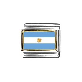 Clearly Charming Argentina Flag Italian Charm Bracelet Link