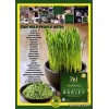 Pure Iam Worldwide Amazing Pure Organic Barley Powdered Drink Mix