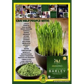 Pure Iam Worldwide Amazing Pure Organic Barley Powdered Drink Mix 10sachet/box