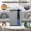 NineSky Dehumidifier for home, 98 OZ Dehumidifiers, Dehumidifiers for Room,Bathroom,