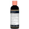 Falak Natural Actives Hair Oil with Onion, Ginger, Amla &
