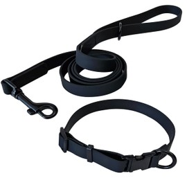 LiLe Waterproof Collar and Leash (Small)