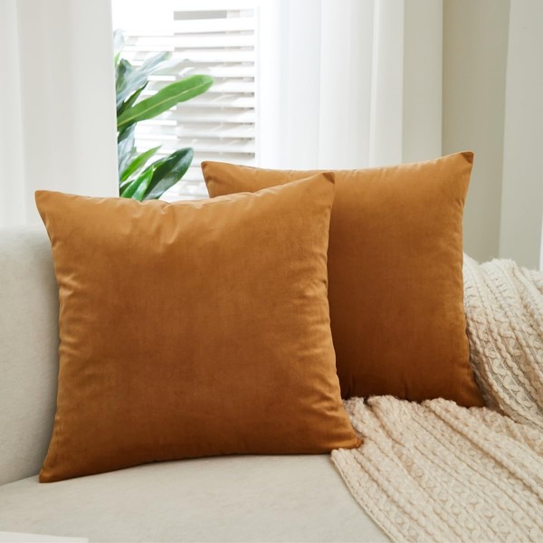 Sunday Praise Set of 2 Soft Velvet Throw Pillow Covers
