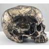 Veronese Design Bronze Finish Craniumography Old Treasure Map On Skull