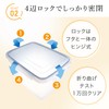 Iwasaki Kogyo Lustroware SL Jumbo Case Food Storage Container 10