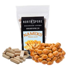 North Spore Organic Nameko (100 ct) Mushroom Plugs for Logs | Premium Quality Mushroom Plug Spawn | Handmade in Maine, USA | Grow Gourmet Mushrooms Outdoors on Logs | Pholiota nameko