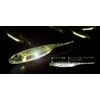 Fish Arrow(フィッシュアロー) ワーム フラッシュJ 3インチ #27 ワカサギ/オーロラ