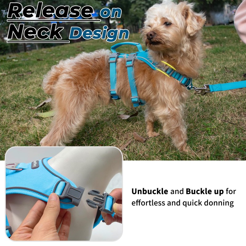 Escape Proof Dog Harness and Leash Set, Lightweight Dog Harness