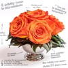 ROSEMARIE SCHULZ Heidelberg Infinity Roses in Silver Flower Bowl -