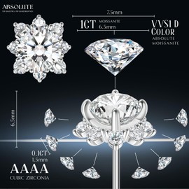 ABSOLUTE Moissanite Earrings for Women 925 Sterling Silver Stud Earrings Gifts For Her D Color VVS1 Clarity 2 Carat Moissanite Earrings Birthday With Certificate