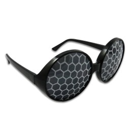 Insect Fly Sunglasses Bug Eye Glasses (Silver)