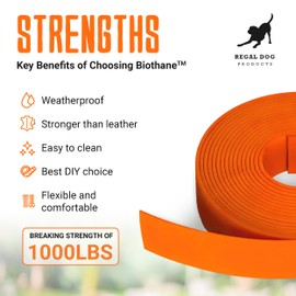 Regal Dog Products Biothane Beta 520 Super Heavy - Red - RD 522 Coated Webbing Beta Biothane Roll | 1 Inch x 25 Feet | Waterproof Biothane Strap