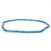 100pcs Pigeons Training Foot Rings Identify Numbered Blue Leg Bands