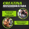 Creatina Monohidratada 1nt 1kg 200 Servicios No Carbs Sabor Mora