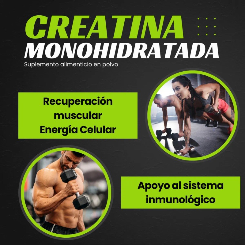 Creatina Monohidratada 1nt 1kg 200 Servicios No Carbs Sabor Mora