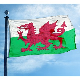 Omnisexual 2 Pack United Kingdom Wales Flags Welsh National Flag 3x5 FT College Dorm Decor Vivid Color & Fade Proof - Cool Outdoor Indoor Double Stitched Banner with Grommets Room Prints Wall Tapestry