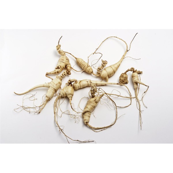 Dragon Herbs - Ginseng Sublime - 2 fl oz (60 ml) -- Premium Supreme Ginseng
