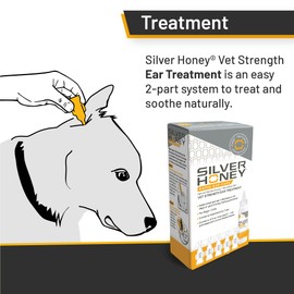 Absorbine Absorbine Silver Honey Rapid Ear Care Vet Strength Ear Cleaner + Infection Treatment, 10-Day Regimen for 1 Ear, Safe for Dogs & Cats, Medical Grade Manuka Honey & MicroSilver BG