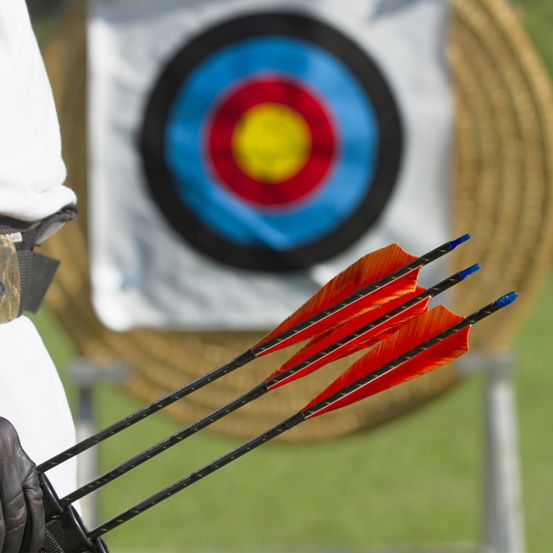 PATIKIL Arrows Vanes 4 Inch, 25 Pack Left Wing Arrow