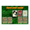 kidsnado cabo Card Game