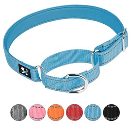 Pimaodog Adjustable Martingale Safety Training Dog Collars, Soft Neoprene Padded Breathable Nylon Pet Collar for Small Medium Large Dogs (L, Blue)