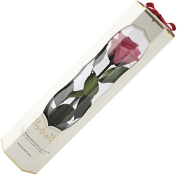 Preserved Flower, Verdisimo, Media Bell Rose, Bridal Pink, White Box Ribbon, Flower Diameter: Approx. 1.8 - 2.0 inches (45 - 50 mm)