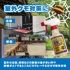 Spider with Natural Ingredients 10.1 fl oz (300 ml), Mint