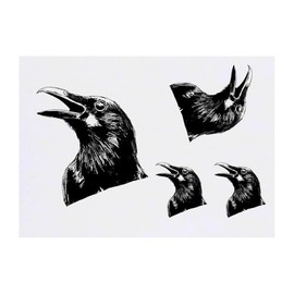 Azeeda 4 x 'Krähe' Temporäre Tattoos - Wasserfest, Hautfreundlich & Ungiftig · Transfers in Verschiedenen Größen (TO00082560)