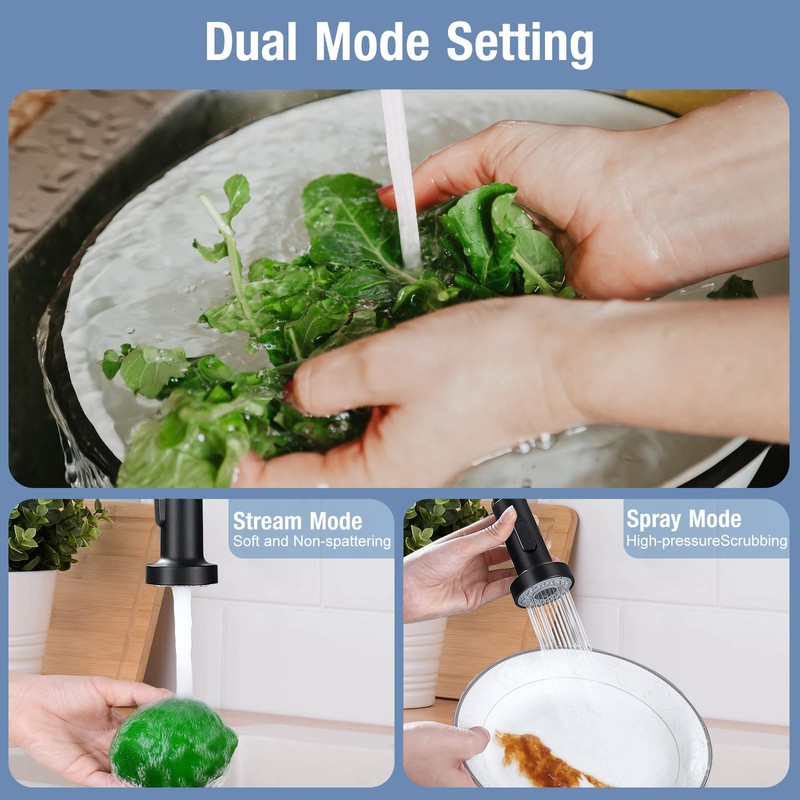 DJS Kitchen Faucets with Pull Down Sprayer Matte Black -