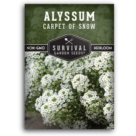 1 Pack Carpet of Snow Alyssum Seed for Planting with Instructions to Grow Lobularia Maritima in Your Home Flower or Vegetable Garden - Non-GMO Heirloom Lobularia Seeds - Survival Garden Seeds