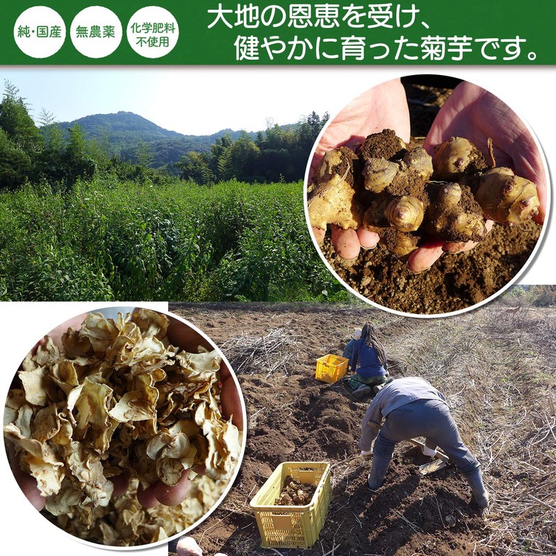 Chrysanthemum Potato Dried Powder Inulin (Content Rate: 70%), High Concentration,