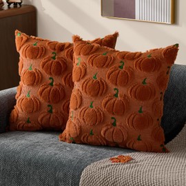 DFXSZ Fall Pillow Covers 18x18 Set of 2 Fall Decorations Autumn Rust Pumpkin Throw Pillow Cases Soft Plush Faux Fur Wool Couch Cushion Case for Chair Sofa Living Room Home Decor PTK042D18