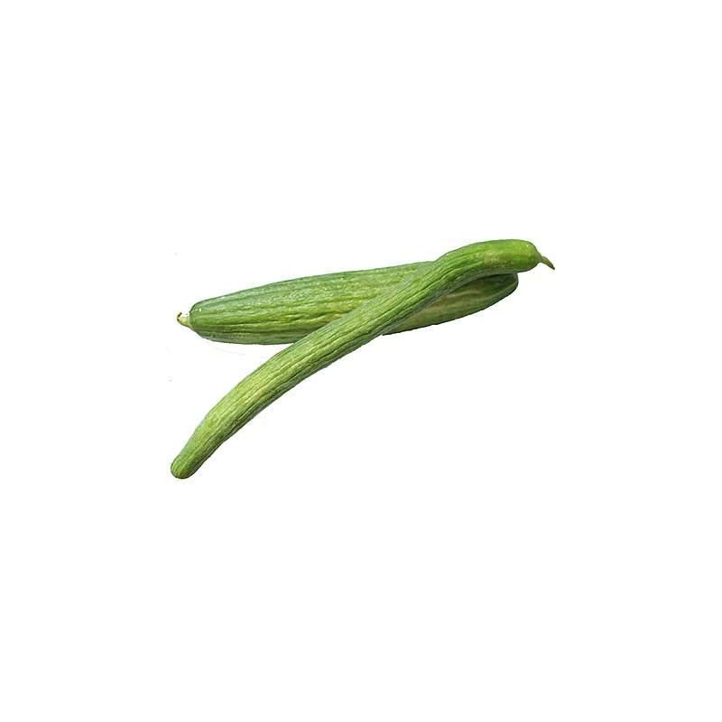 Armenian Dark Green Cucumber Seeds, 100 Heirloom Seeds Per Packet,