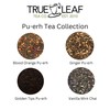 Ginger Pu-Erh Tea | Organic | True Leaf Tea |