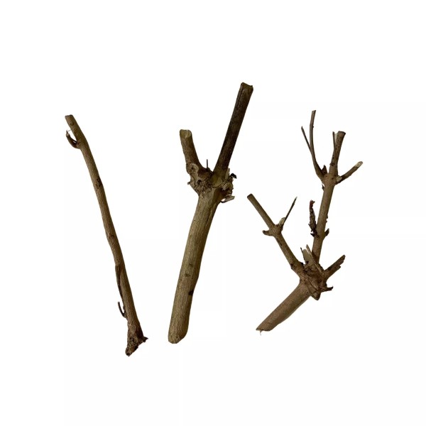 Abre Camino (Road Opener) Stick for Prosperity and Spiritual Cleansing