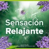 BS PO Naturals Cream w Lavender 4x120gr